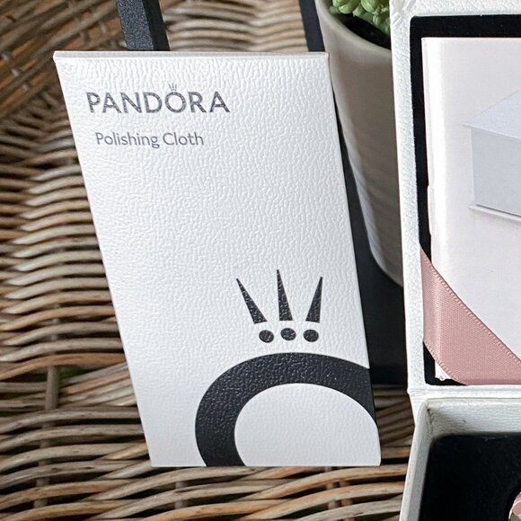 Pandora Jewelry Cleaning Kit Set with Box Polishing Cloth Brush Key Ring Authent - Picture 4 of 7